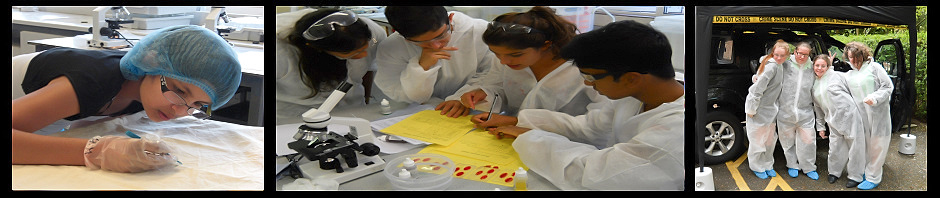 Forensic-Science-Header2.jpg