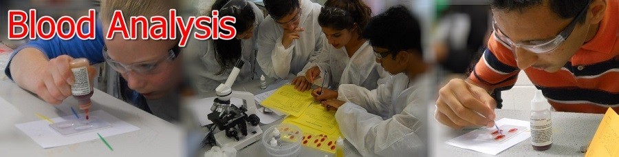 Forensic_Blood_Analysis_Activity_STEM
