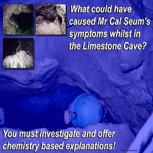 Caving Conundrum Science Investigation