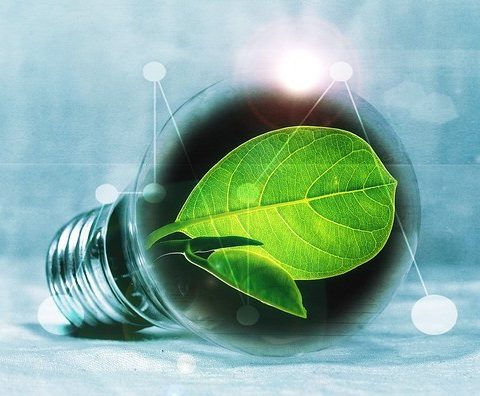 Fresh Thinking Fresh Ideas Light Bulb