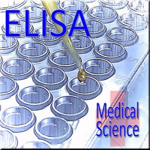 ELISA - Thinkers in Education Medical Science Workshops For Schools.  A drop from a micropipette into a microwell tray sets the mood of this two hour activity.