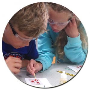Blood Analysis TiE Workshop