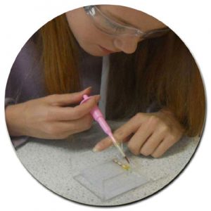 DNA Fingerprinting TiE Workshop
