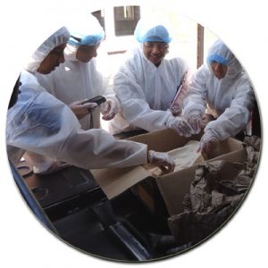 Crime Scene Processing - Dead on Time Workshop