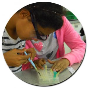 ELISA Precision - Medical Science Workshop