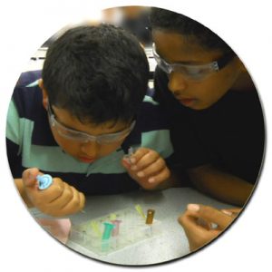 ELISA Testing - Medical Science Workshop